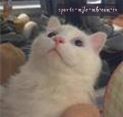 吴倩